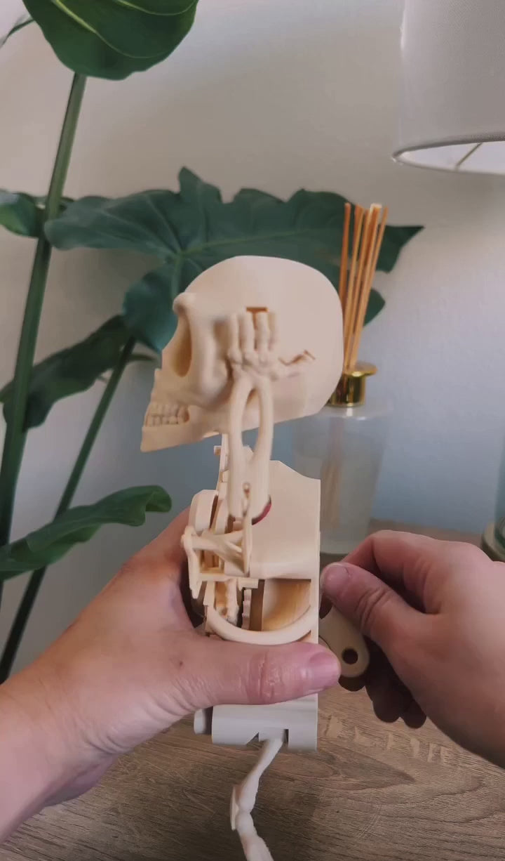 Dancing Skeleton Toy Limited Edition